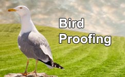 Smart Solutions for Bird Control