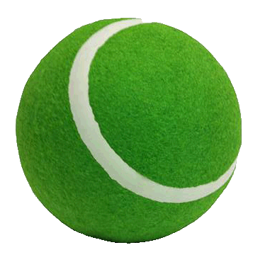 Funtastic Fetcher Ball - Green