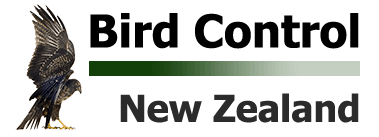 Bird Control New Zealand