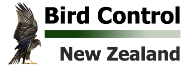 Bird Control NZ