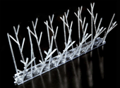 Bird Spikes - Polycarbonate, 300mm lengths