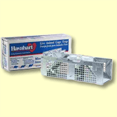 Havahart 1020 Cage Trap, 3-pack