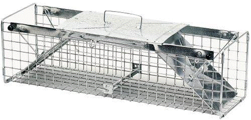 Havahart Live Animal Cage Traps