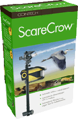 ScareCrow