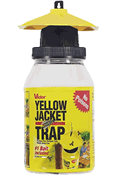 Victor Wasp Trap M362, 6-Pack