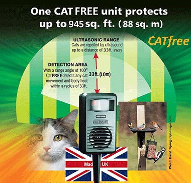 catfree_4