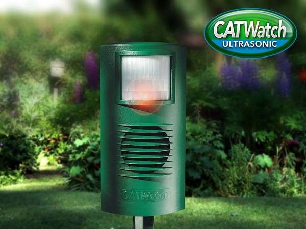 catwatch_4