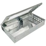 Multi-Catch Mouse Trap