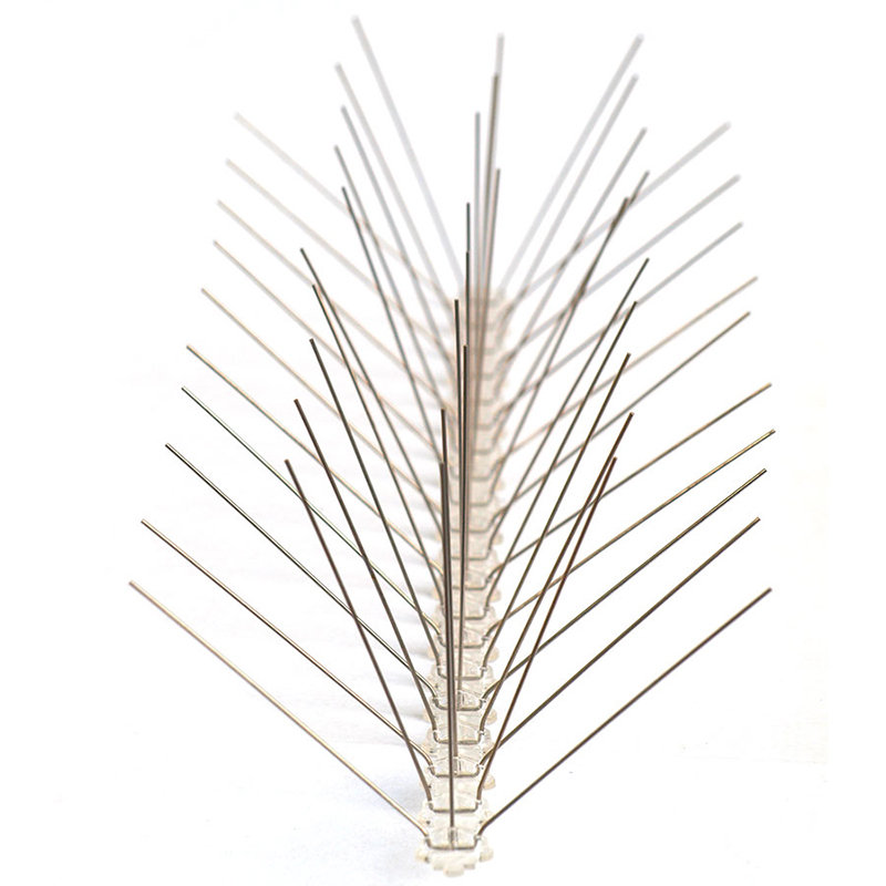 bird-spike-180