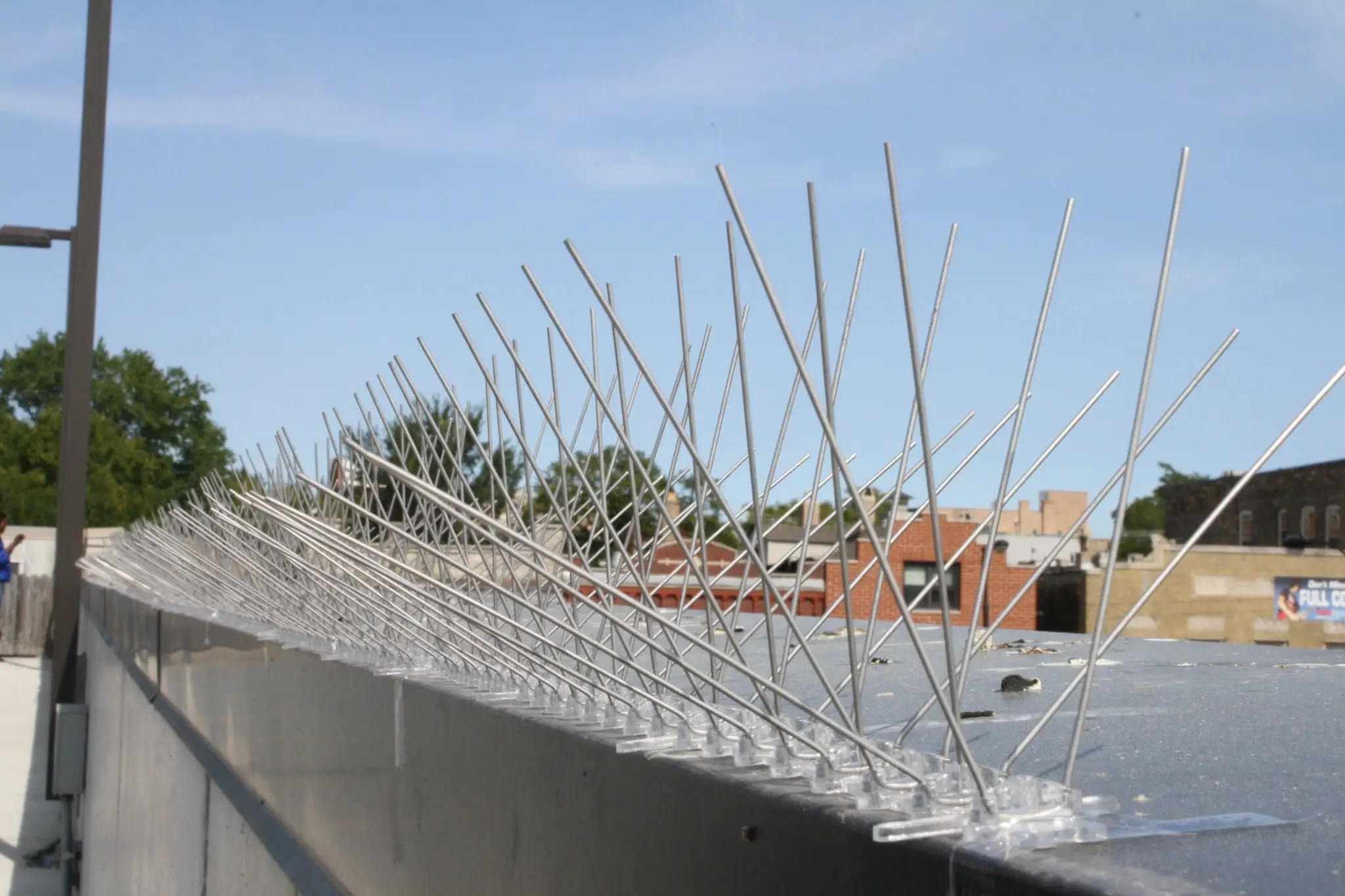 bird_spikes_adhesive_3