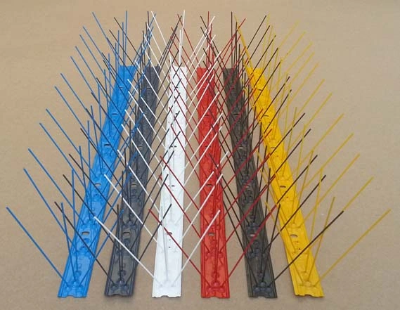 color-bird-spike-50_1