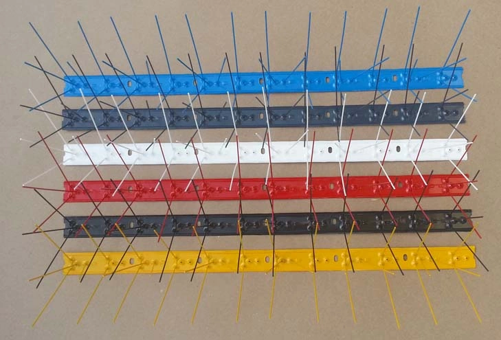 color-bird-spike-50_2