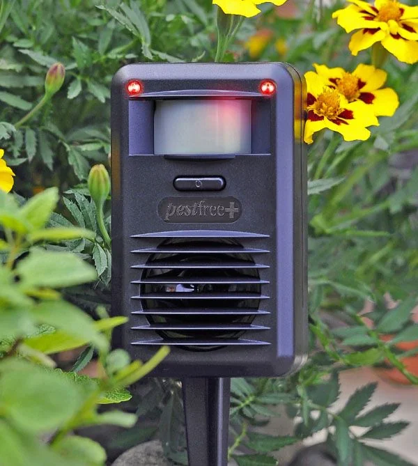 pestfree-plus_2