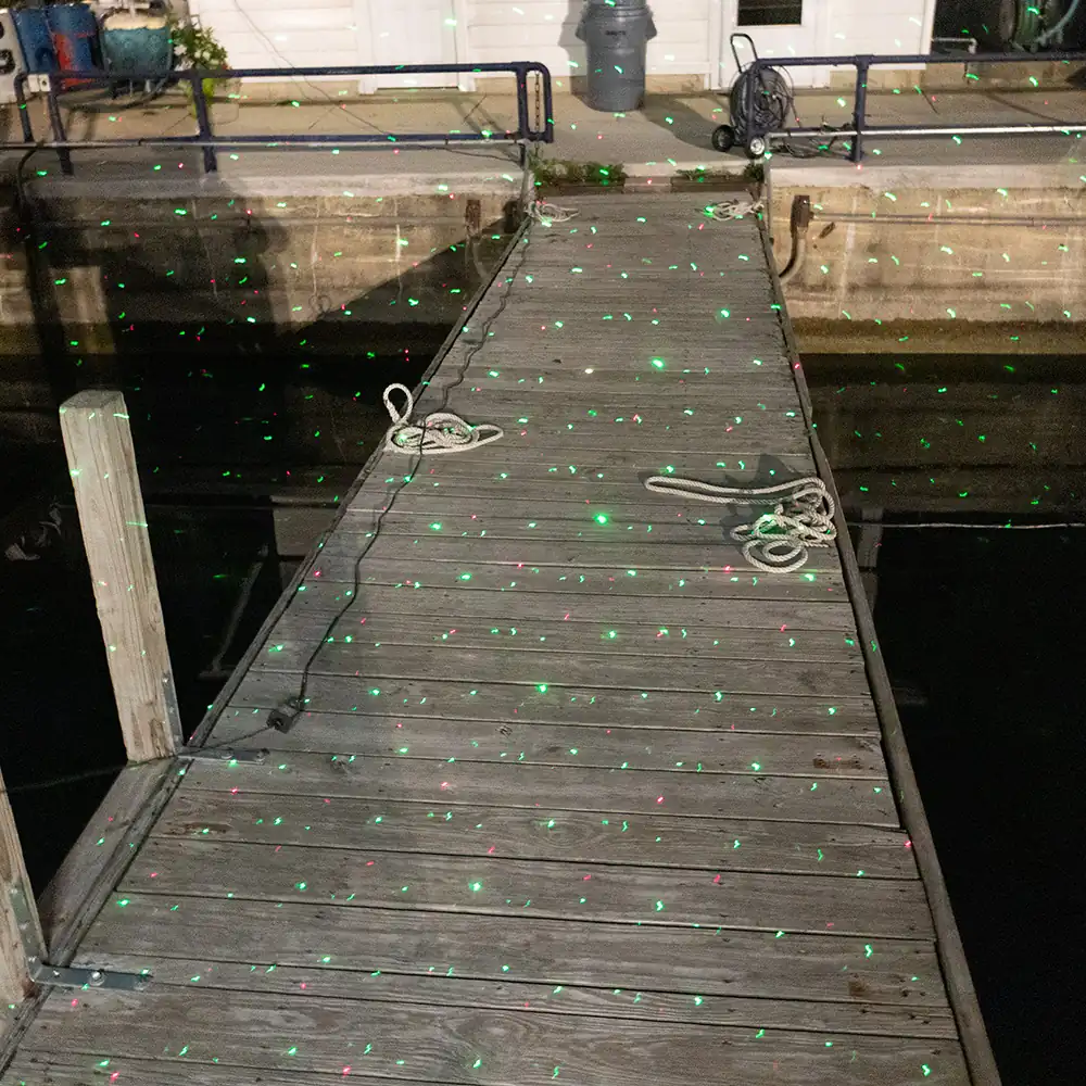 outdoor-bird_laser_4