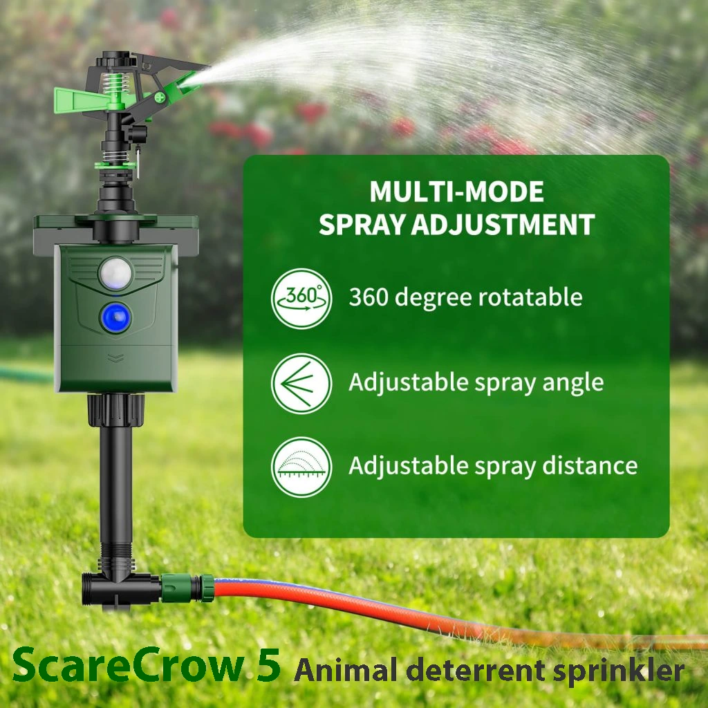 scarecrow5_2