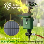 ScareCrow 5