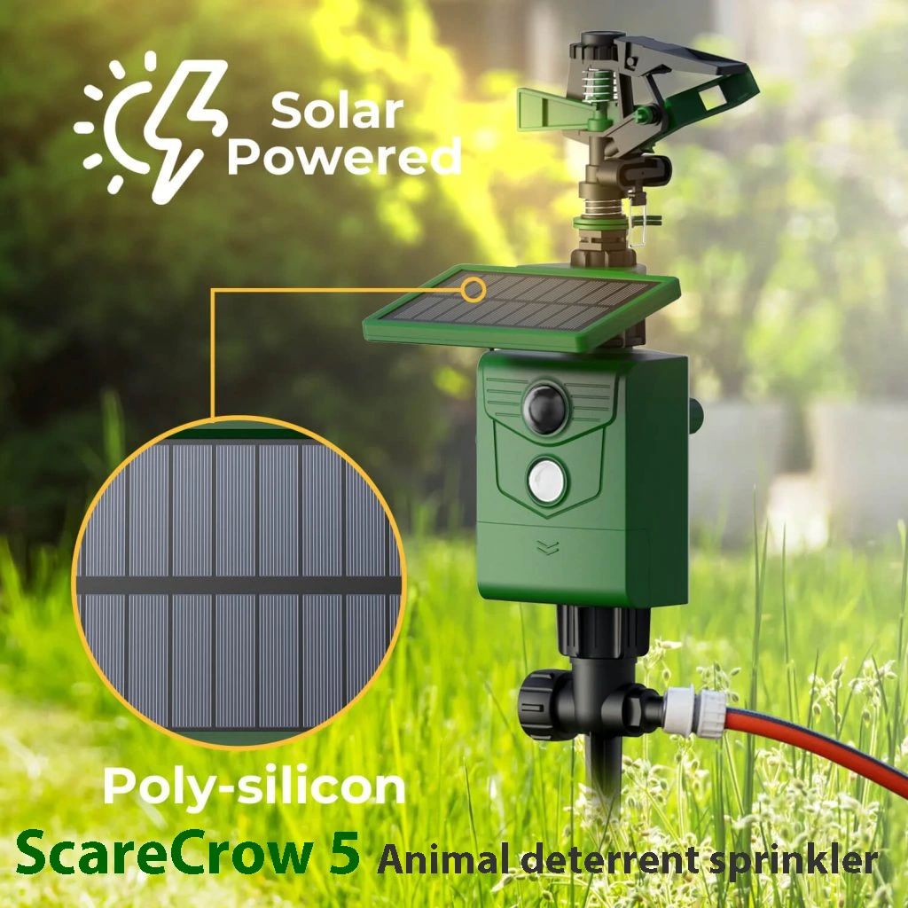 scarecrow5_3